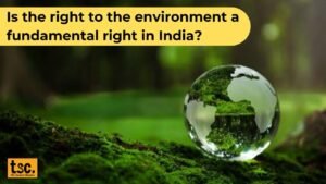 Is the right to the environment a fundamental right in India?