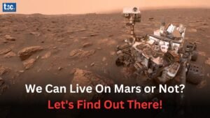 Search for Life on Mars