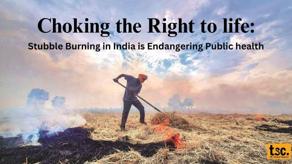 Choking the Right to Life: Stubble Burning in India is Endangering Public Health