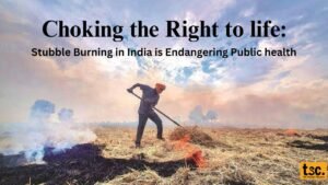 Choking the Right to Life: Stubble Burning in India is Endangering Public Health