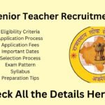 RPSC Senior Teacher Recruitment 2024