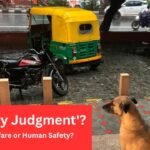 Where will Stray Dogs of Delhi Heading? Supreme Court’s Stray Dog Order: An ‘Angry Judgment’? Animal Welfare or Human Safety?