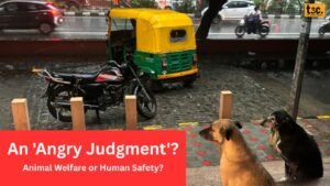 Supreme Court's Stray Dog Order: An 'Angry Judgment'? Animal Welfare or Human Safety?